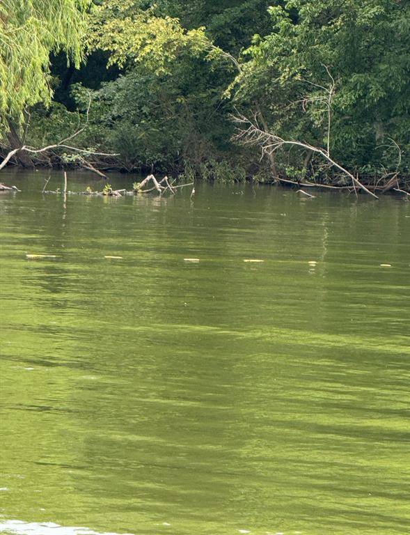 Wills Point, TX 75169,Lot 10 Vz County Road 3732