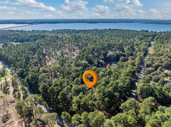 Flint, TX 75762,0 Pintail Drive