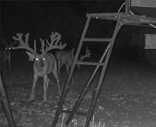 Meridian, TX 76665,121 PR 2123 Road