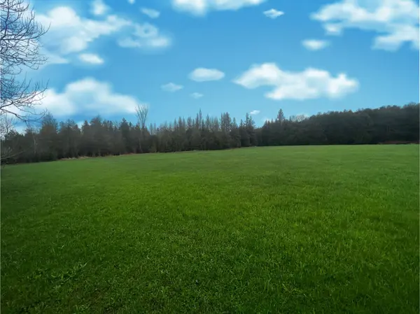 773462 Highway 10 RD N, Grey Highlands, ON N0C 1E0