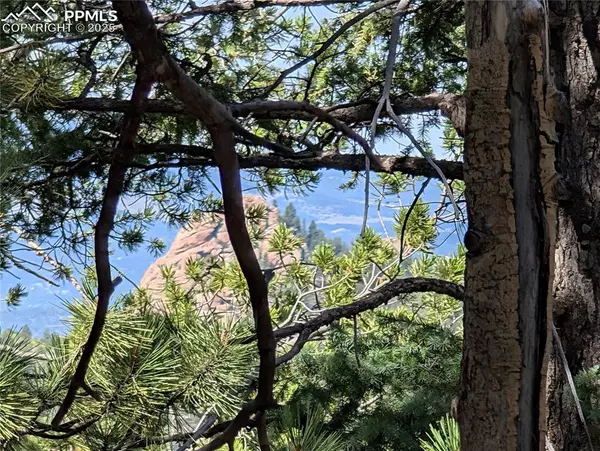 Divide, CO 80814,60 Fluorite LN