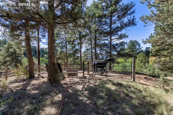 Florissant, CO 80816,515 Valley View DR