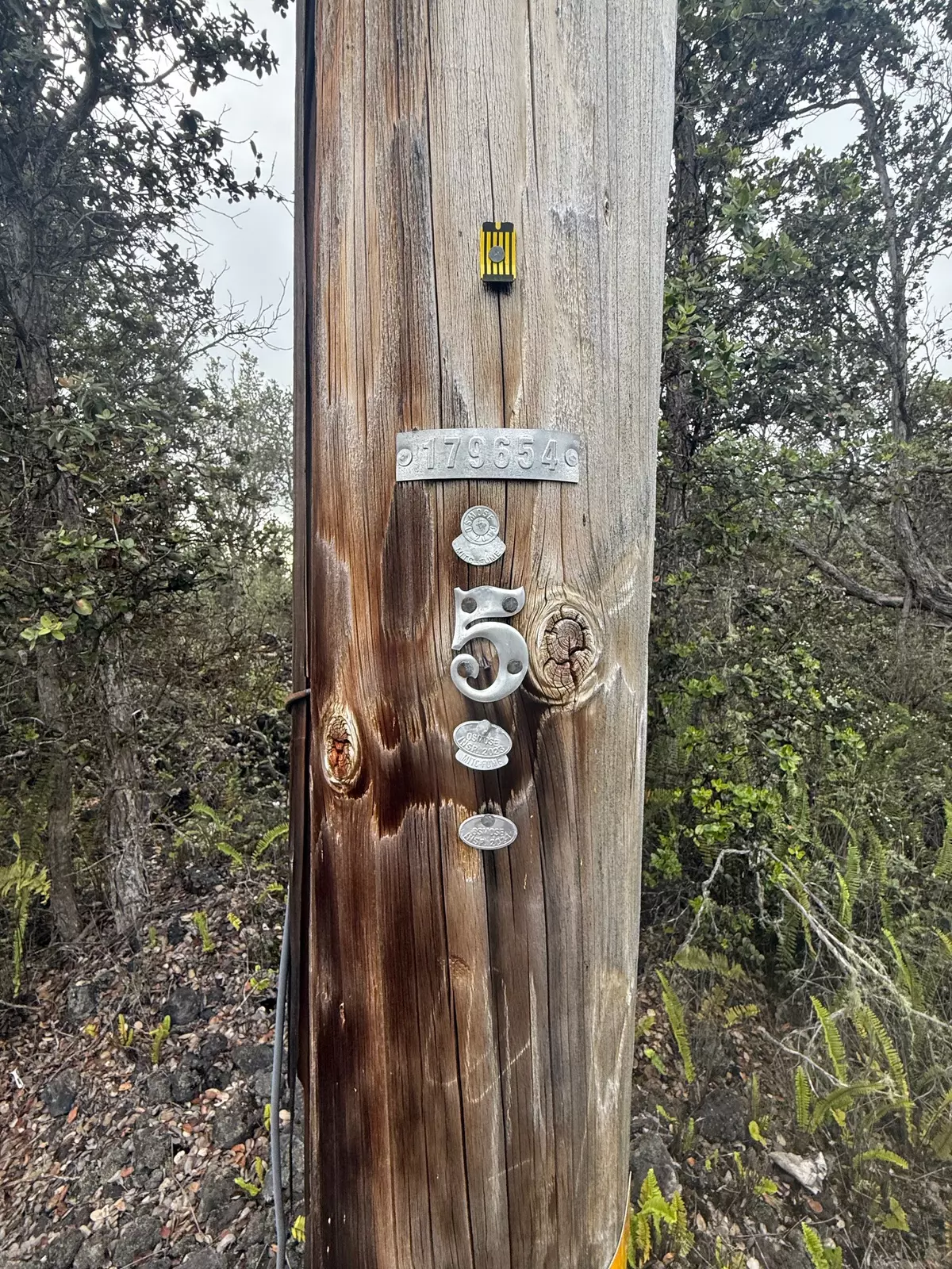 Ocean View, HI 96737,92-9170 TREE FERN LN