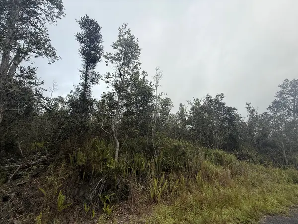 Ocean View, HI 96737,92-9170 TREE FERN LN