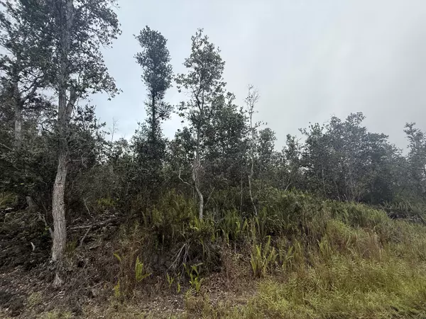 Ocean View, HI 96737,92-9170 TREE FERN LN