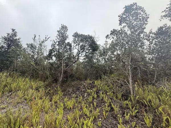 Ocean View, HI 96737,92-9170 TREE FERN LN