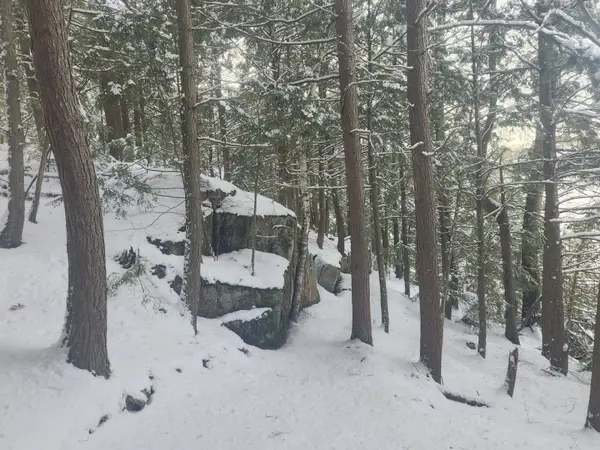 North Kawartha, ON K0L 1A0,34 Kingfisher LN