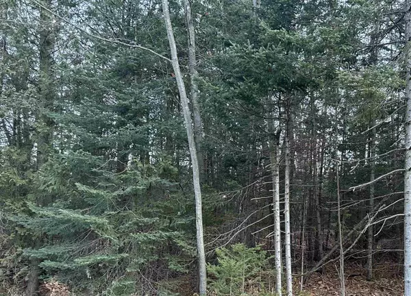 Oscoda, MI 48750,V/L Kingswood LN