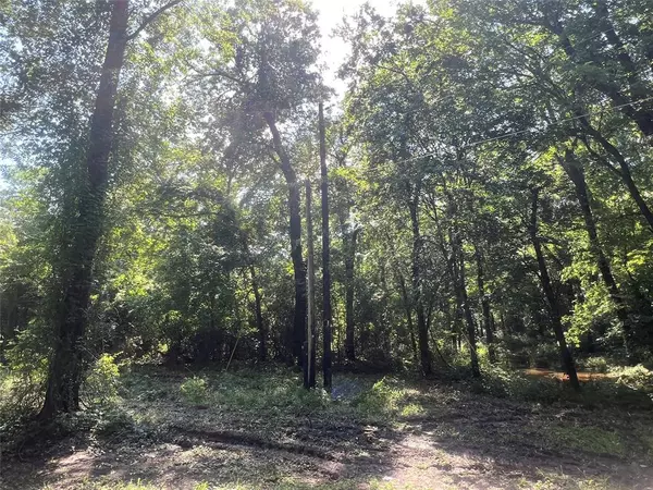 Fruitvale, TX 75127,TBD VZ 1913