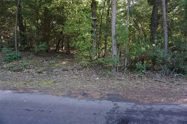 Hawkins, TX 75765,TBD County Road 3847