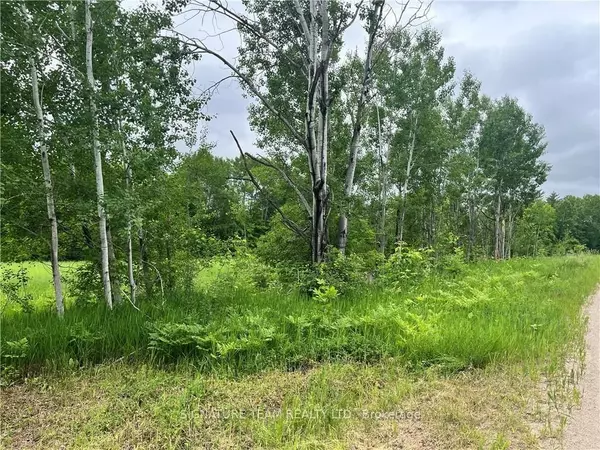 Whitewater Region, ON K0J 1V0,0 Grant Settlement RD