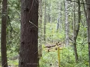 North Glengarry, ON K0C 1A0,00 Kenyon Acres N