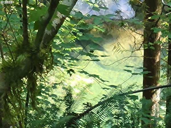 HESLEN RD, Carson, WA 98610