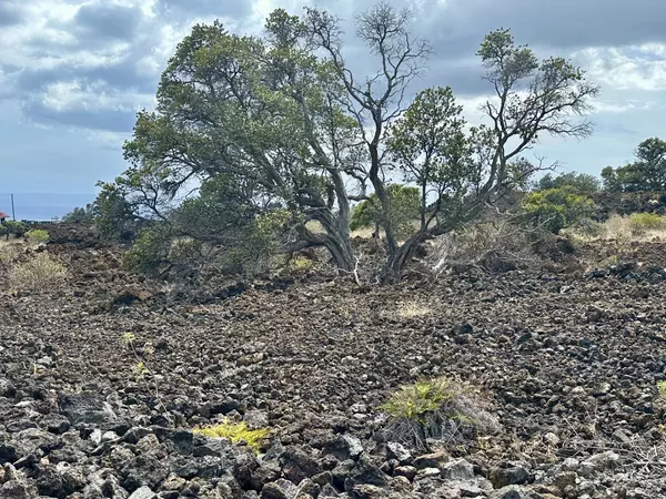 Ocean View, HI 96737,KAHILI BLVD