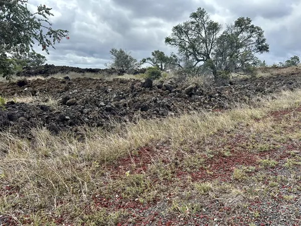 Ocean View, HI 96737,KAHILI BLVD