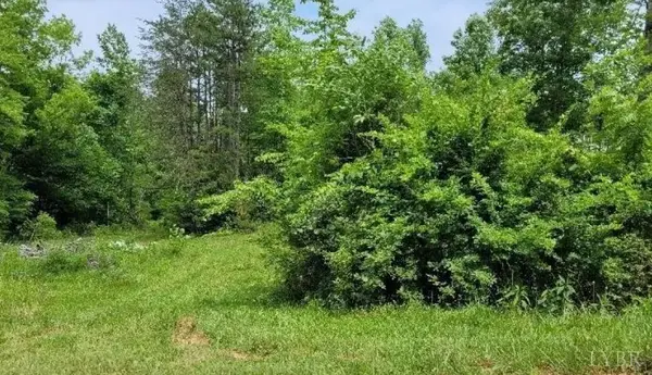 Rustburg, VA 24588,0 Bear Creek