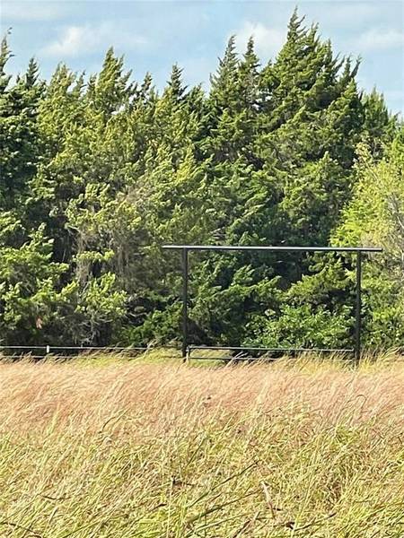 334 Greanead Road, Forestburg, TX 76239