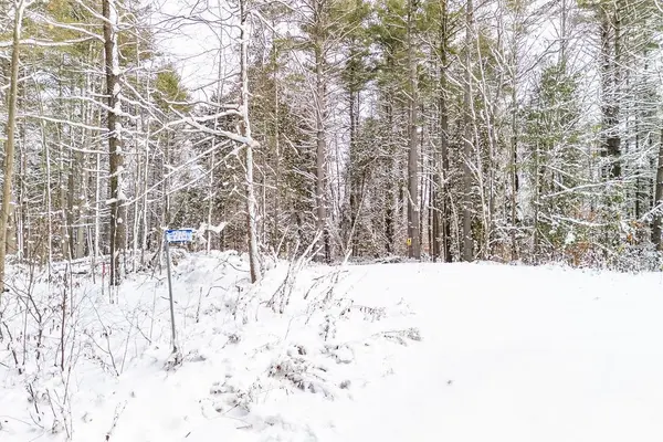 Frontenac, ON K0H 1K0,265 Addington Road 4 N/A