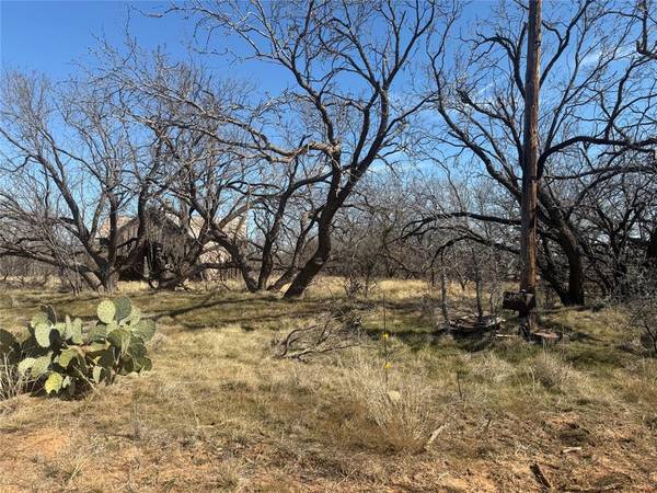 Anson, TX 79501,TBD CR 260