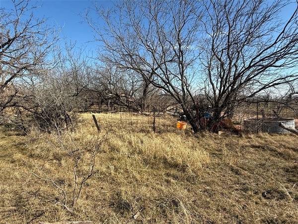 Anson, TX 79501,TBD CR 260