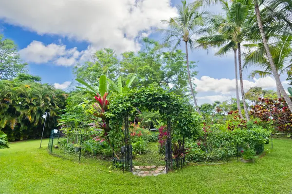 81-1031 KEOPUKA MAUKA RD, Kealakekua, HI 96750