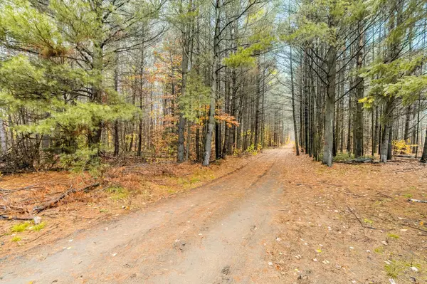 Clearview, ON L0M 1N0,5992 Concession 2 Sunnidale N/A