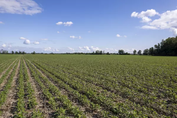 Admaston/bromley, ON K0J 0A6,PT LT 21 Conc 1 Burwell RD