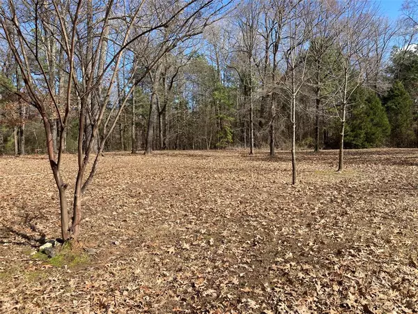 Mooringsport, LA 71060,9515 Caddo Lake Road