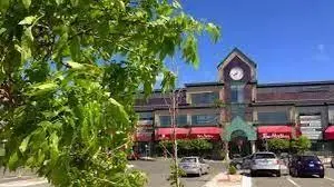 8-10 Rowan Street, St. John's, NL A1B 2X1