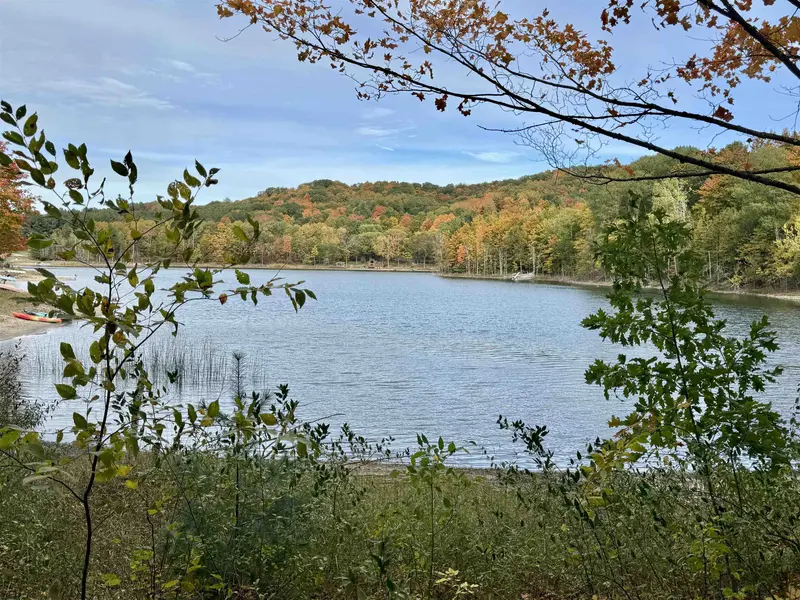 0 Alvinas TRL, Lake Ann, MI 49650