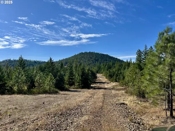Goldendale, WA 98620,Black Butte Lot 7