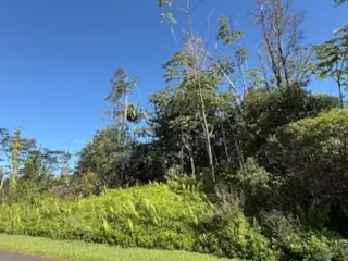 Pahoa, HI 96778,HEEPALI ST