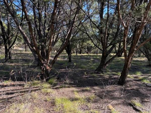 Possum Kingdom Lake, TX 76449,Lot 599 Caprock Court