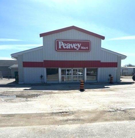 466 Hume ST, Collingwood, ON L9Y 1W6