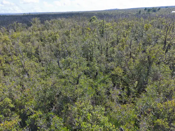 Mountain View, HI 96785,OMEKA RD