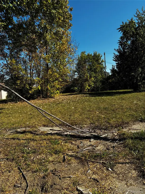 19436 Troy PL PL, Detroit, MI 48203