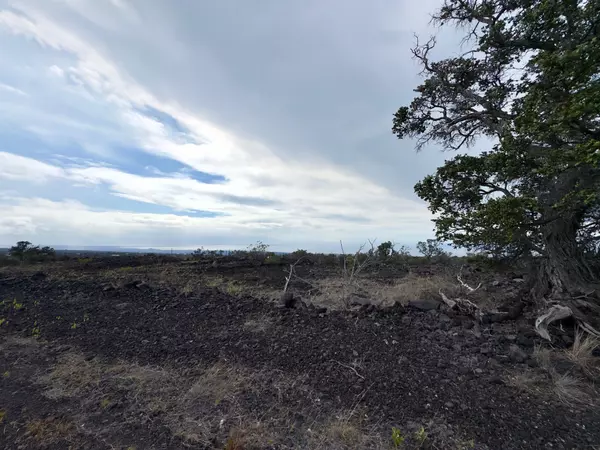 Ocean View, HI 96737,JASMINE DR