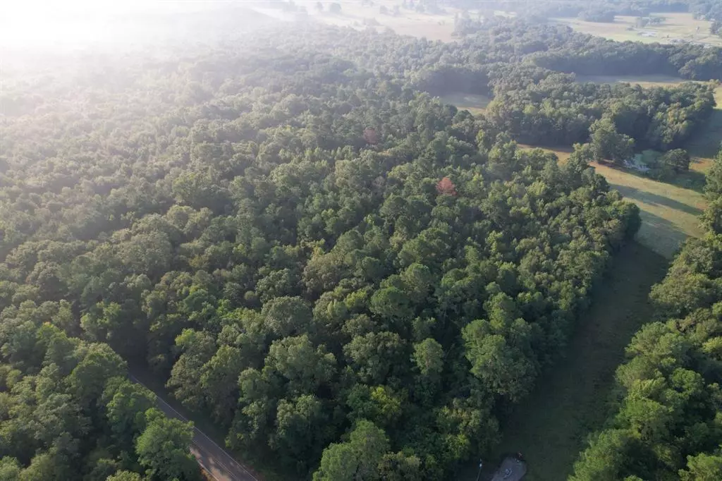 Mount Enterprise, TX 75681,TBD US Hwy 84