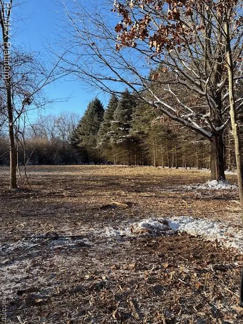 Gregory, MI 48137,Wasson Road