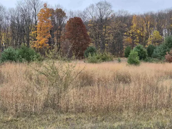 8980 Alden MDWS, Alden, MI 49612