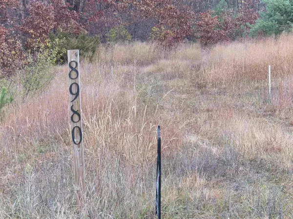 Alden, MI 49612,8980 Alden MDWS