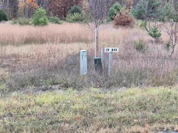 Alden, MI 49612,8980 Alden MDWS