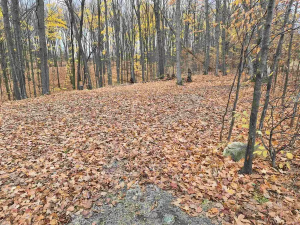 Alden, MI 49612,8980 Alden MDWS