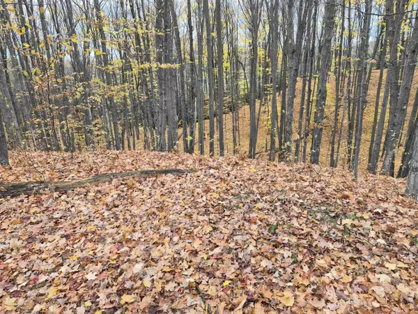 Alden, MI 49612,8980 Alden MDWS