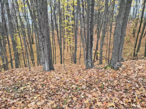 Alden, MI 49612,8980 Alden MDWS