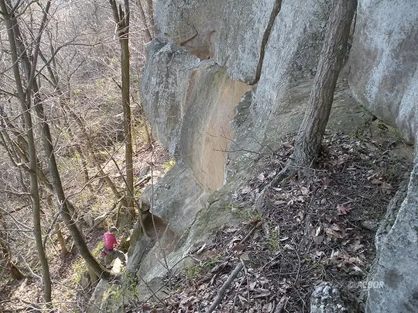 EAST STATE STREET, Athens, OH 45701