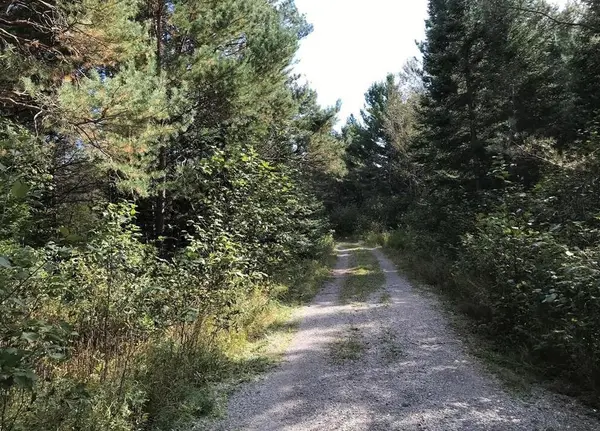 1570 Ryno RD, Big Creek Twp, MI 48636