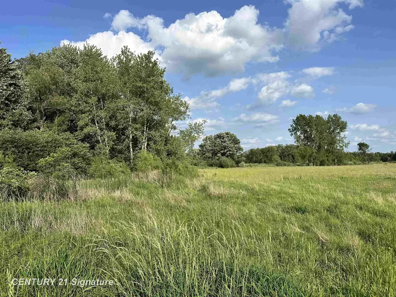 60 Estey RD, Billings Twp, MI 48612