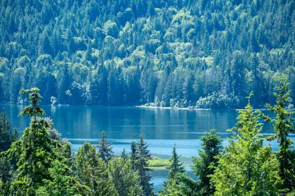 Lake Cowichan, BC V0R 2G1,7454 Teal Crt