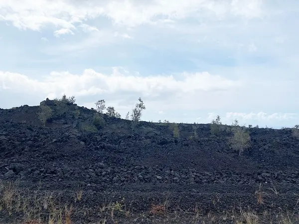 Ocean View, HI 96737,92-1192 KONA GARDENS RD